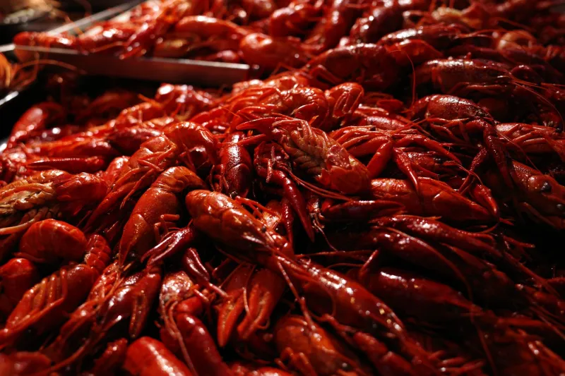 Timing Is Everything: How to Schedule Your Crawfish Boil for Maximum Fundraising Power