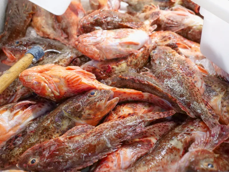 From the Gulf to Your Cells: What Crawfish Actually Do Inside Your Body