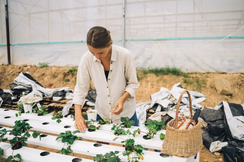 She Inherited Rice Fields and Crawfish Ponds — Now She's Helping Doctors Understand Cancer